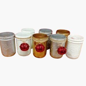 Christmas Luminaries Jars Rustic Shabby Western Country Ball Jar Lot 8